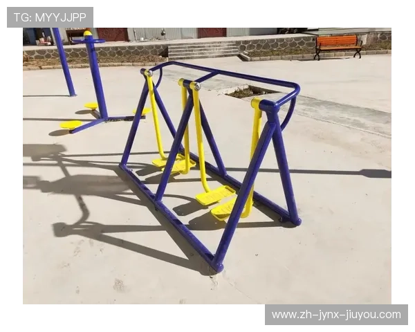 多的是健身器材，体育锻炼器械种类与选择全攻略