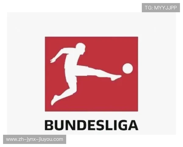 德甲的球队文案：为德甲各球队撰写的介绍与文案风格