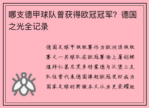哪支德甲球队曾获得欧冠冠军？德国之光全记录